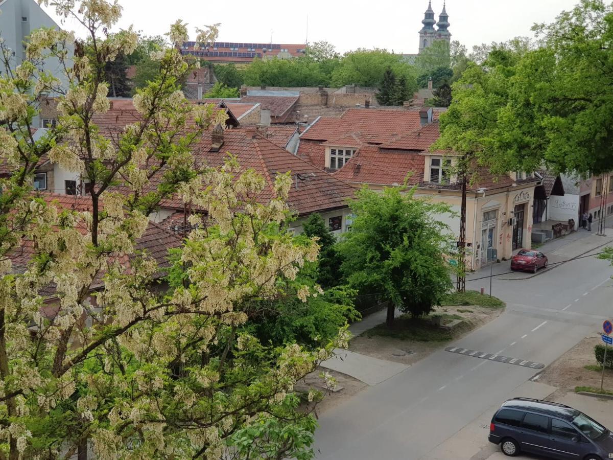 Apartament Aurora Subotica Zewnętrze zdjęcie